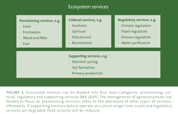 Provision service