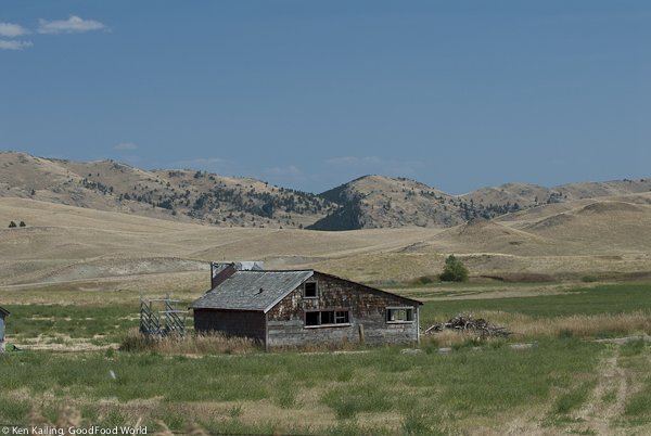 On the Road – Black Corn, Black Barley, Black Lentils, and Black Chick Peas