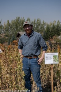 Kevin Murphy, WSU, Quinoa Trials