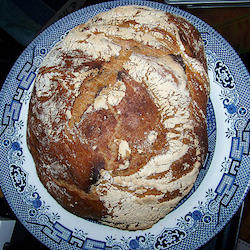 No-Knead Wild Yeast Whole Wheat Bread