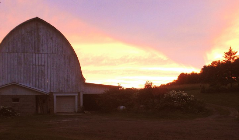 Diary of a Farmer: It Begins – Our New Farm
