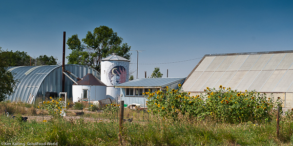 Integrated Farming in Northern Montana