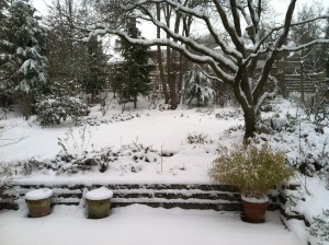 Snow in Seattle