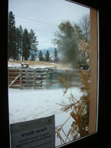 Early winter snow on the farm