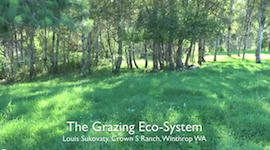 The Grazing Eco-System – Crown S Ranch