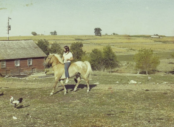 Voices From the Farm: Cider Making, An Amish Remedy, Drilling a New Well, Flock Talk