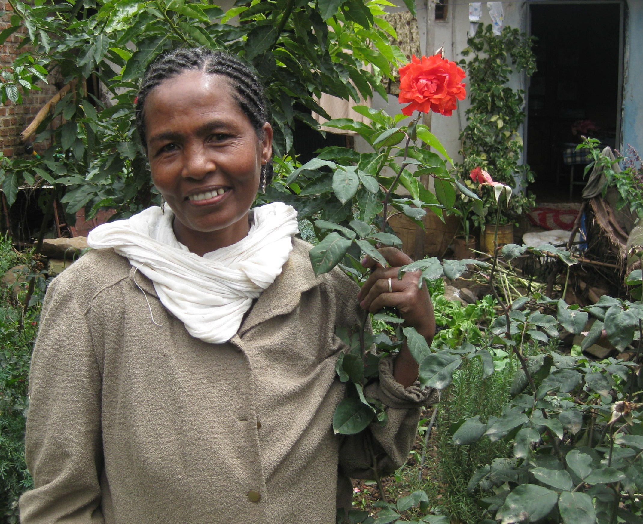 Addis Ababa, Ethiopia: Urban Gardens for Health, Solidarity, and Sustainability