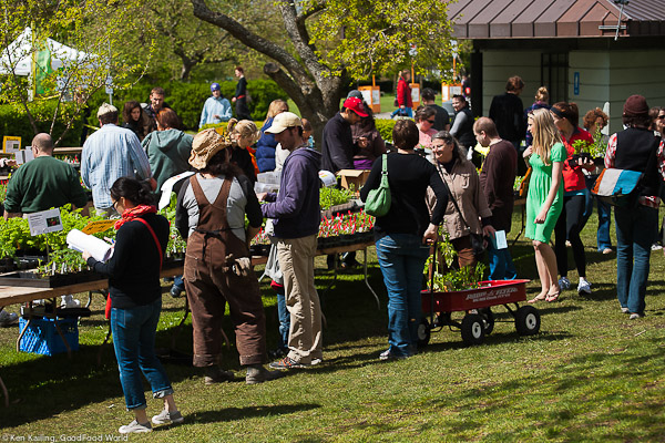 Time to Think Gardens – Get Those Cool Season Starts!