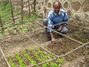 Intensive Gardening - More Produce Per Square Meter