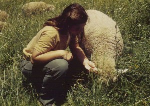 Lisa and lamb in birdsfoot trefoil