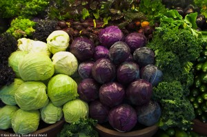 Brassicas - the cabbage family (yes, that includes kale and radishes)