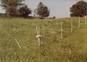 Portable electric fencing