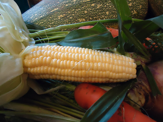 Heirloom crops from our kitchen garden.
