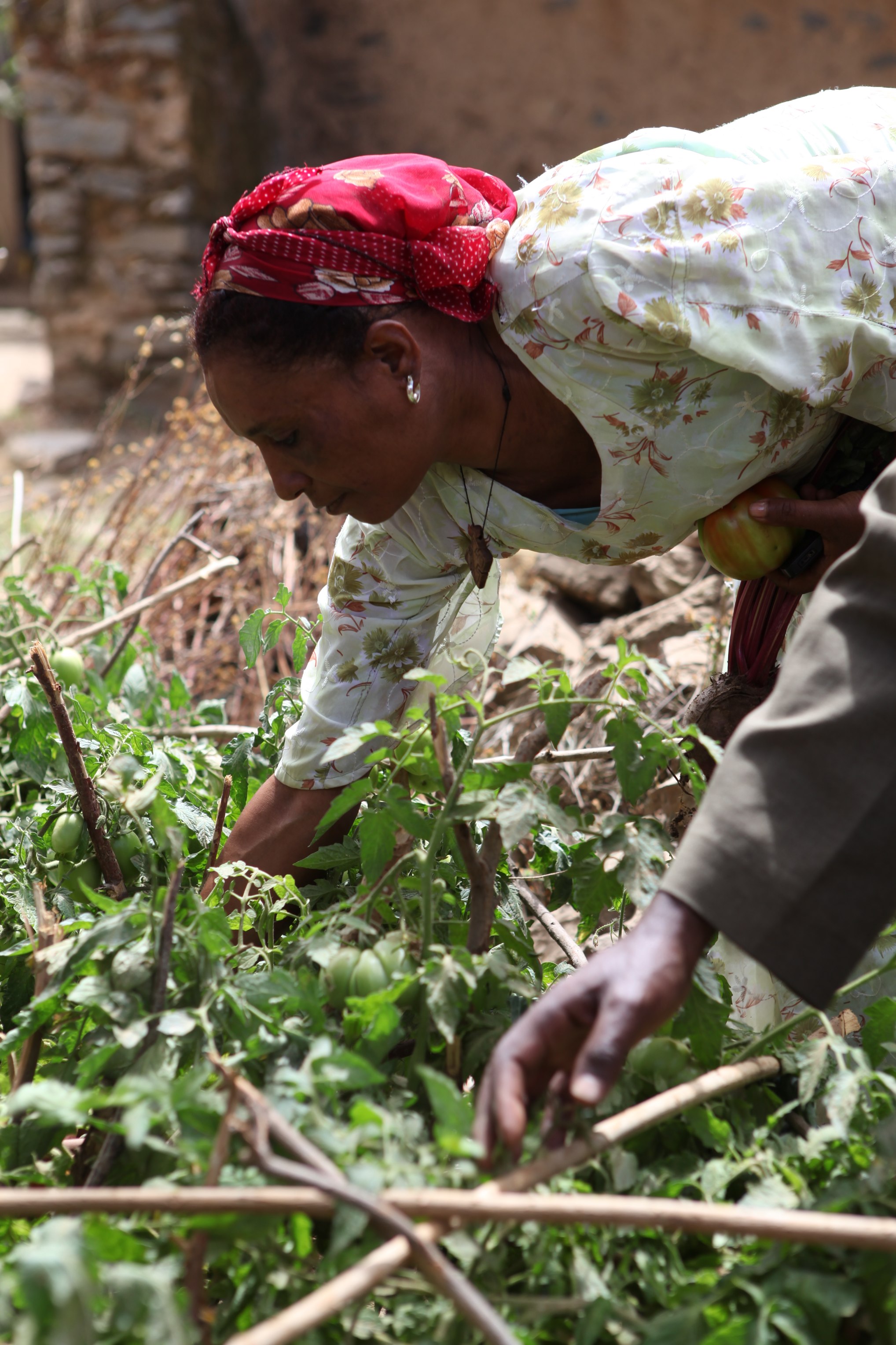 Ethiopian Group Garden Wins Support from City and Community