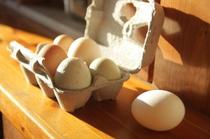 Kinds of eggs