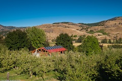 Booth Canyon Orchards, Twisp WA