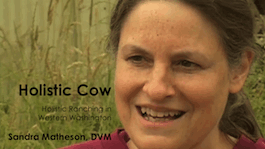 Holistic Cow!