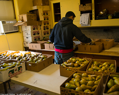 Pear Processing Line, River Valley Organics, Tonasket WA