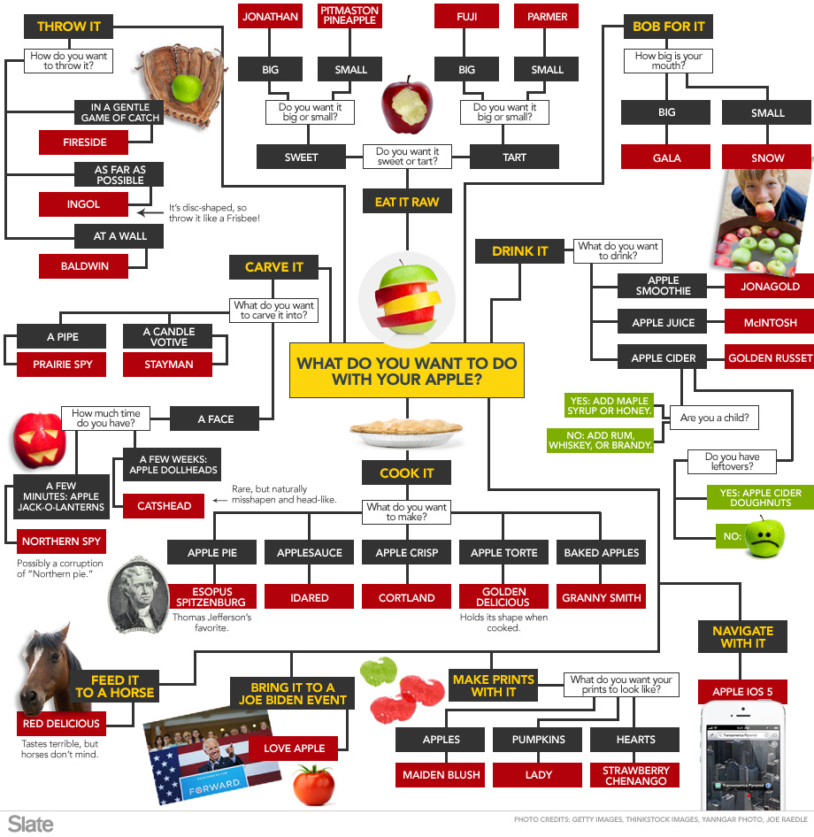 Flow Chart: Choosing the Right Apple