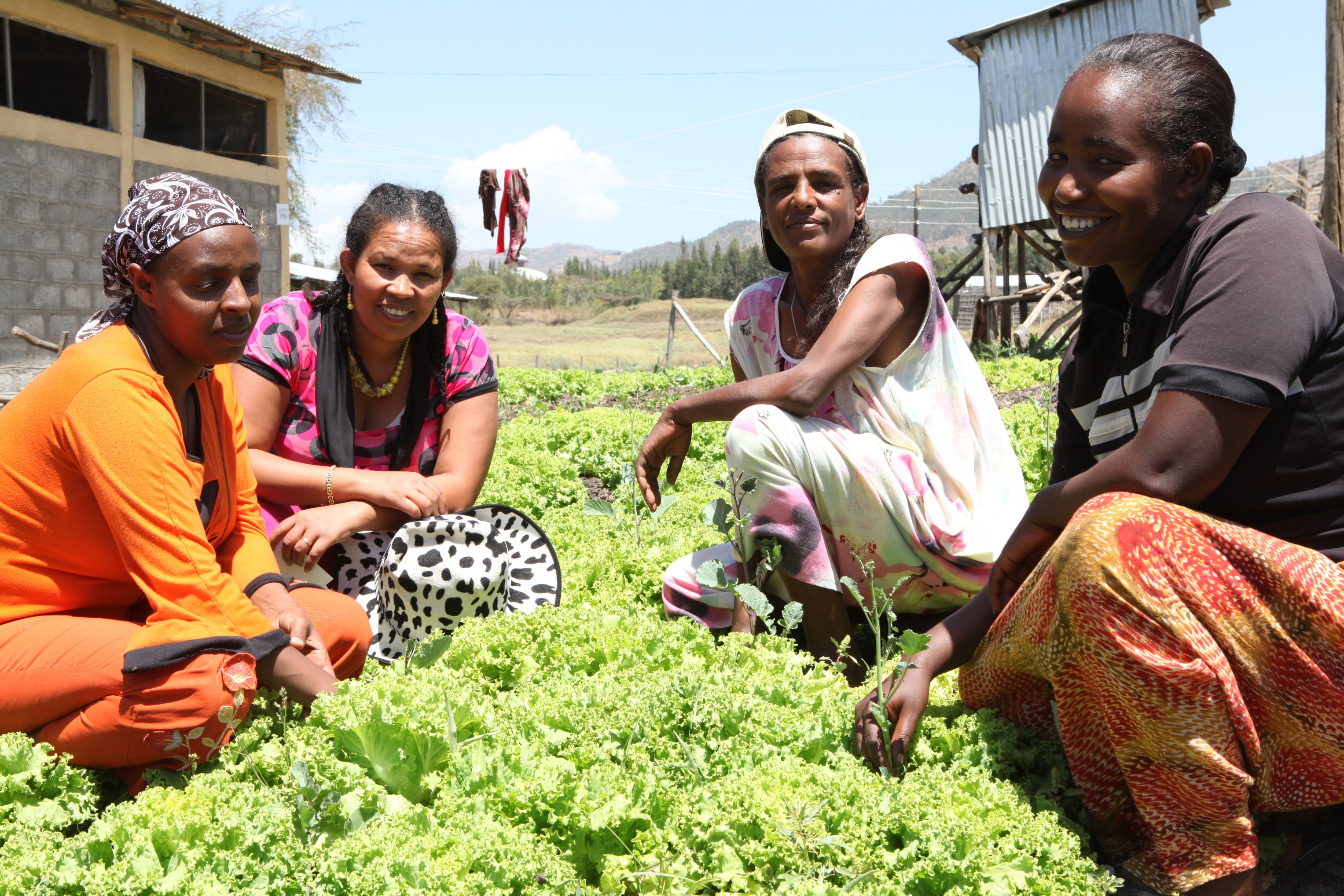 A Dose of Gardening as the New Social Medicine