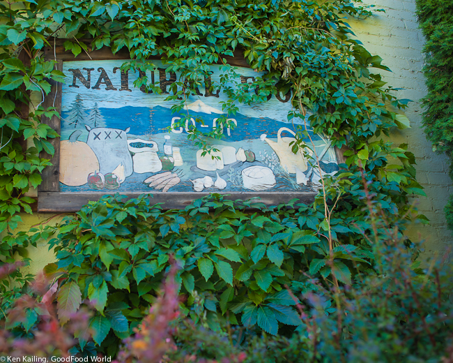 On the Road: North Cascades Highway and Beyond