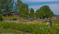 Celebrating the PCC Farmland Trust preservation of Jubilee Farm