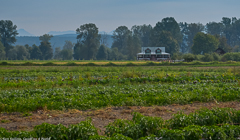 Jubilee Farm Homestead