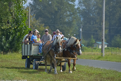 Taking a tour of Jubilee Farm
