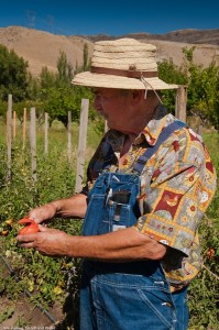 Jerry Pipitone, Pipitone Farms