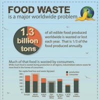 Stopping Food Waste – Can We Do It?