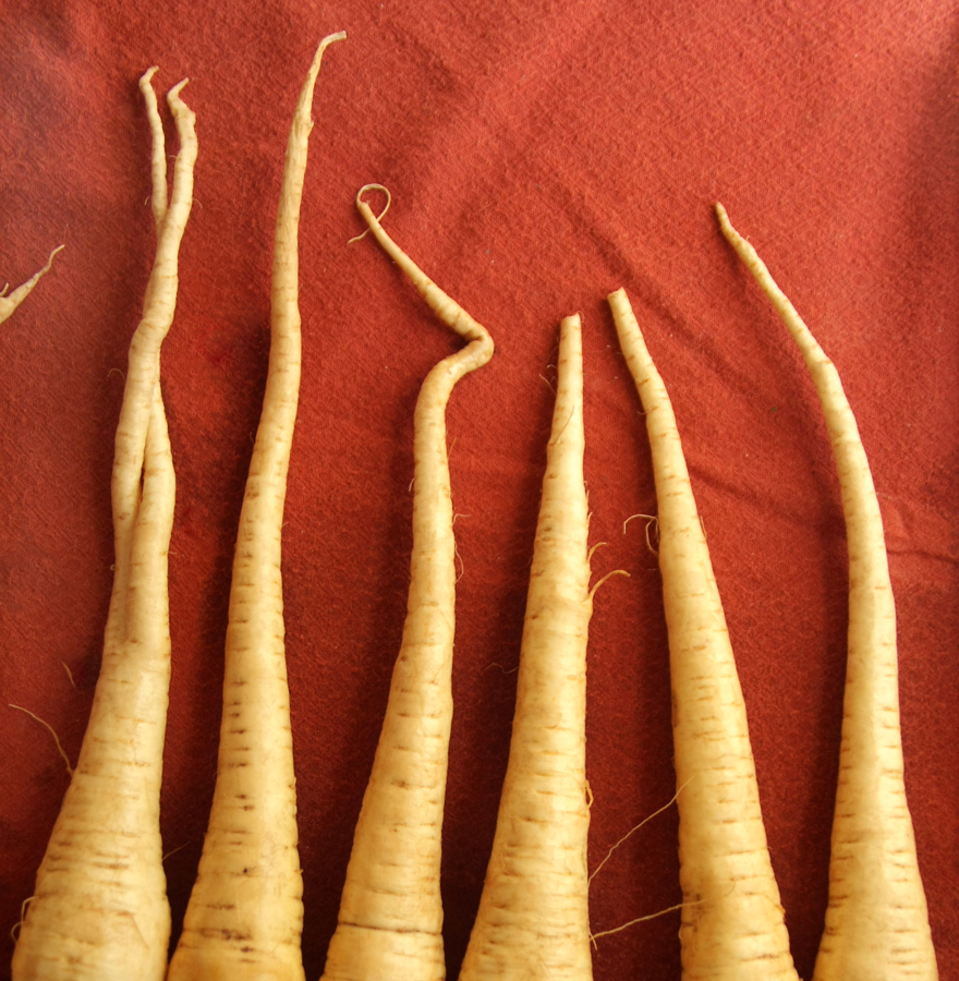 Spindly tips...
