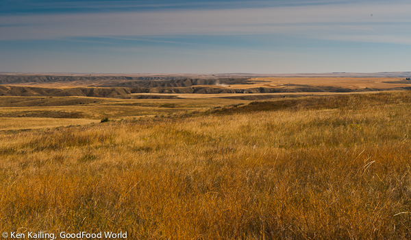 Growing Grain On the Banks of the Missouri