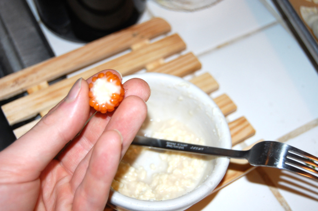 Stuffed salmonberry. Photo credit: Fink