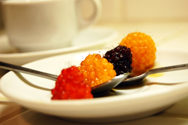 Plated salmonberries. Photo credit: Fink