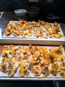 Two hours later and they are ready to cook in butter and freeze for winter.