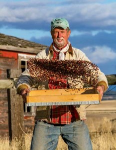 Christensen not only harvests by hand, he must winnow the chaff by hand as well.