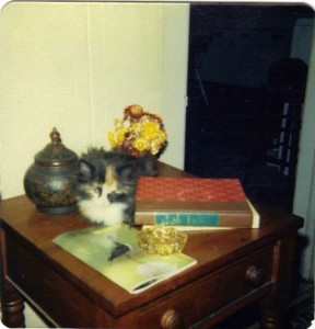 ZhuZhie as a small kitten