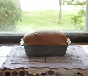 A nice high loaf!