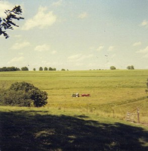 Sean baling trefoil hay