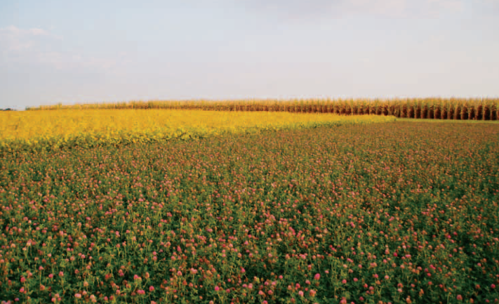 The Healthy Farm: A Vision for US Agriculture