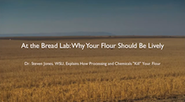 The Bread Lab: Why Your Flour Should Be Lively