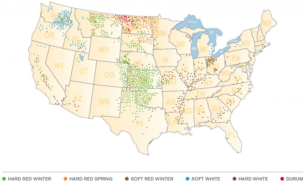 US Wheat Production, 2011