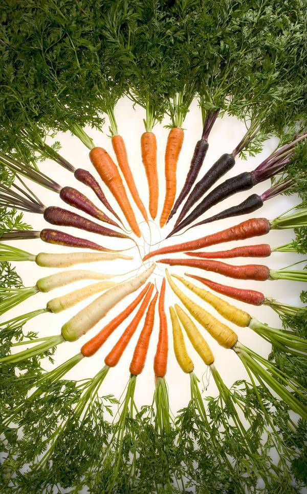 (Source: USDA)