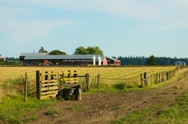 Whidbey Camano Land Trust