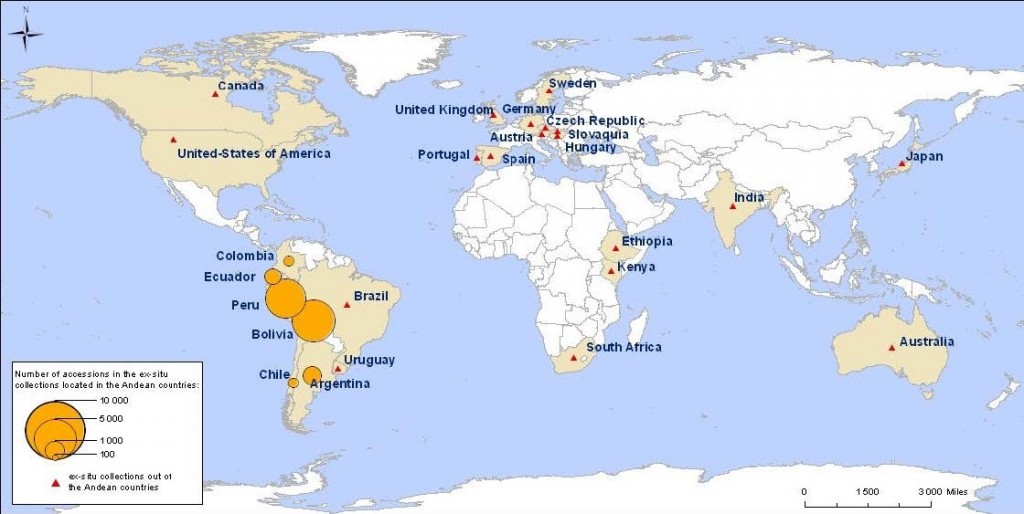 Quinoa Worldwide Genetic Resources Distribution (ex situ conservation)