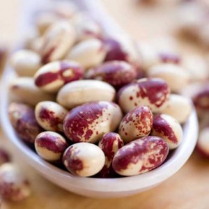 Rockwell Beans (Credit: Willowood Farm)