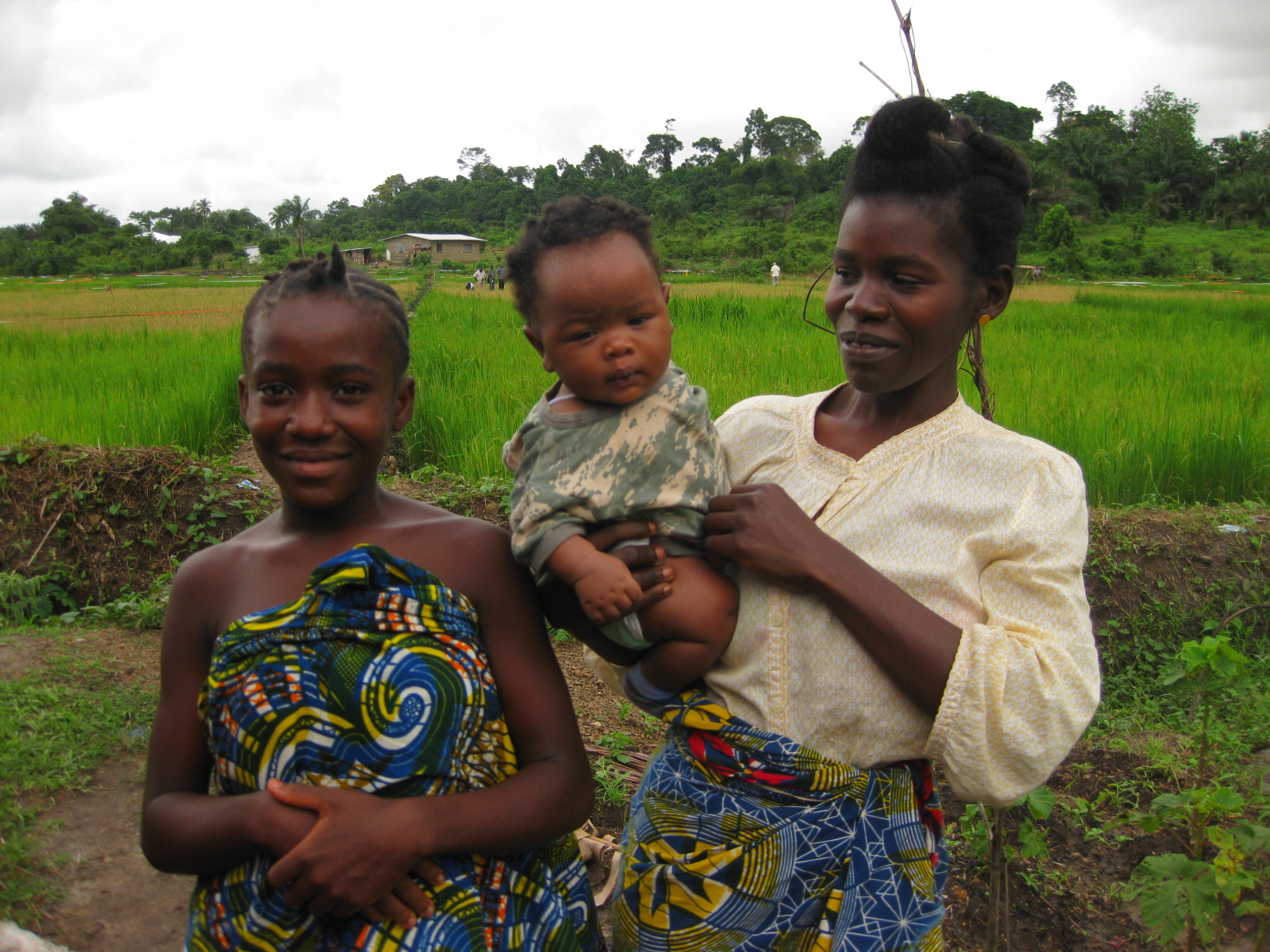 Development Aid Programs Target Small Scale Farmers to Ramp up Production in Food Insecure Liberia