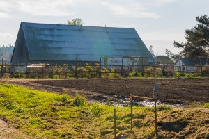 Nash's Organic Produce, Sequim WA