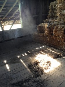 The mystery of an old barn.