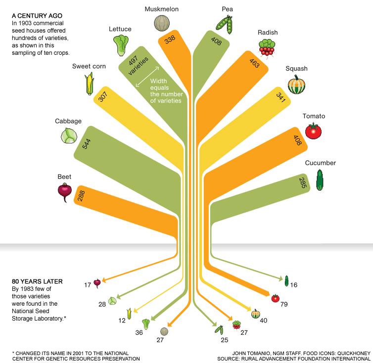 The Illusion of Diversity – Seed Patents